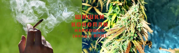 a pvp Белокуриха