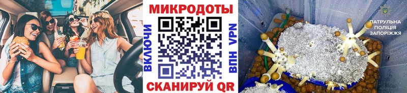 Галлюциногенные грибы ЛСД  ОМГ ОМГ сайт  Ефремов 